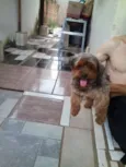 ????