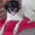 Yuka