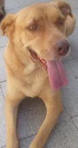 Marley