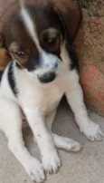 FOFINHA