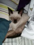 Sem nome
