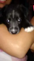 Evie
