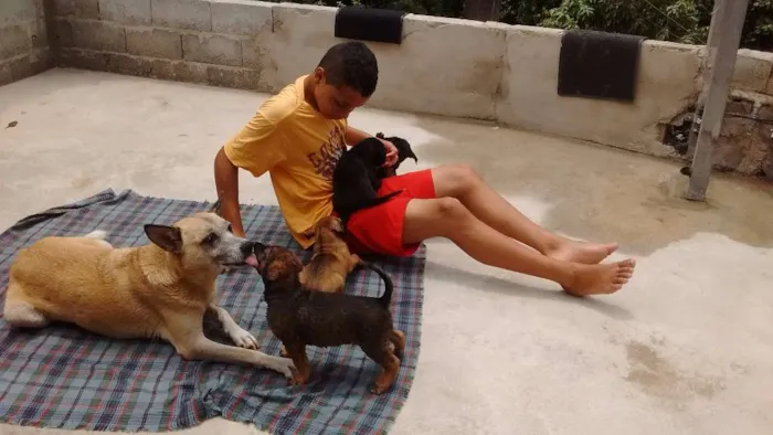 Cachorro ra a não definida idade 2 a 6 meses nome ------------------