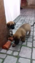 ------------------