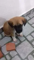 ------------------