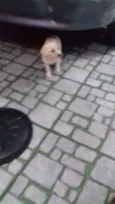 ------------------