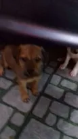------------------
