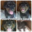 SEM NOME