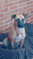 Paçoca