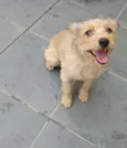 Pequena