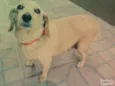 Princesa