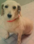Princesa