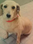 Princesa