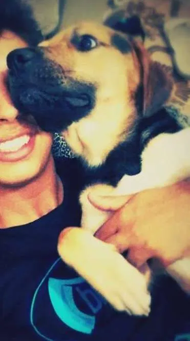 Cachorro raça bigou idade 1 ano nome jon