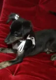 Agatha