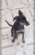 Agatha