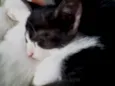 Nina