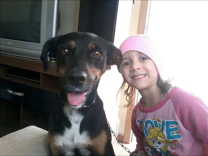 Cachorro ra a SRD idade 4 anos nome sofia