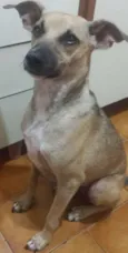 Vitor