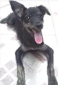 Agatha