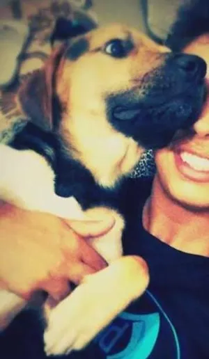 Cachorro raça bigou idade 1 ano nome jon
