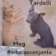 Maggie / Tardelli