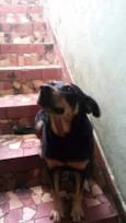 Preta