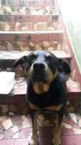 Preta