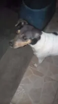 Mag
