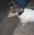 Mag