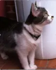 Frida e Neguinha