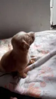 bebe mel