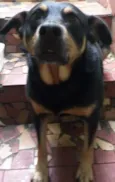 Preta