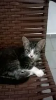 Lila e Eve
