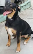 LATIFA