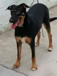 LATIFA