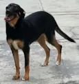 LATIFA