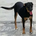 LATIFA