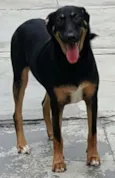 LATIFA