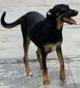 LATIFA