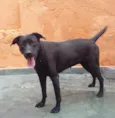 Mel