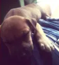 Lola