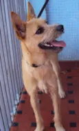 Lili
