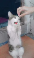 Marie