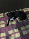 Lilo