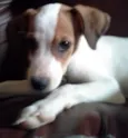 baby