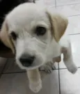 mel