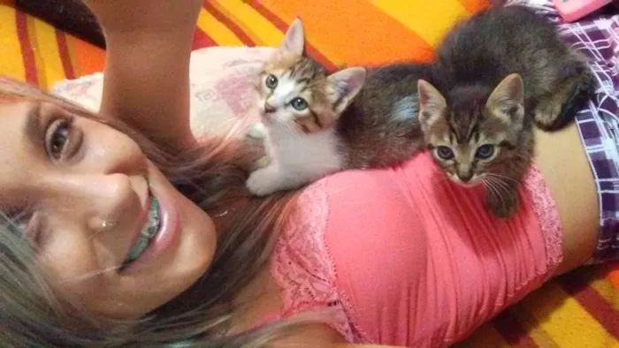 Gato ra a Vira lata  idade Abaixo de 2 meses nome Não tem nome 