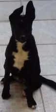 Bella