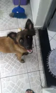 Pit